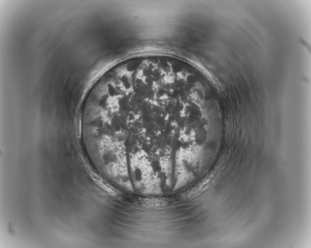 X0000095921413200802011203