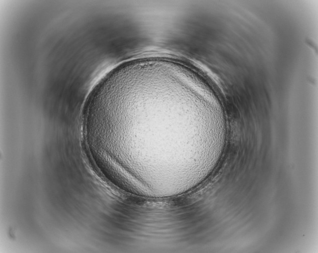 X0000095921415200802011203