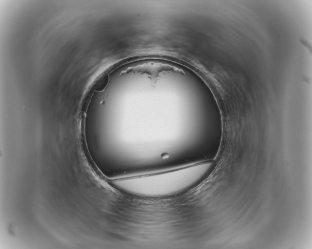 X0000095921416200802011203