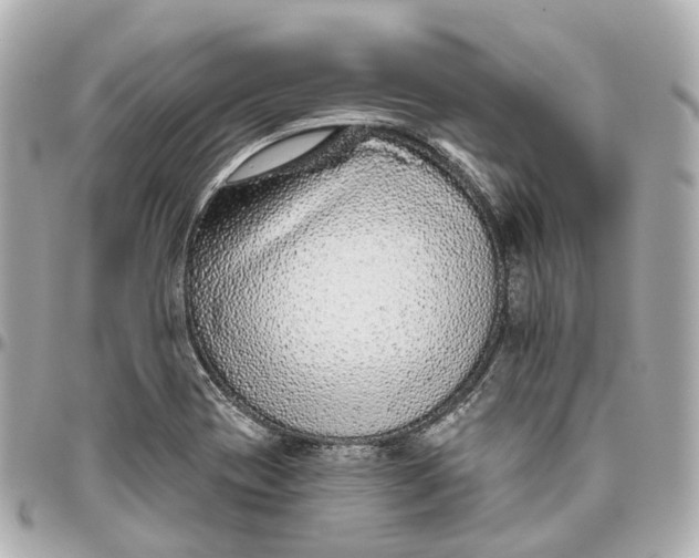 X0000095921417200802011203