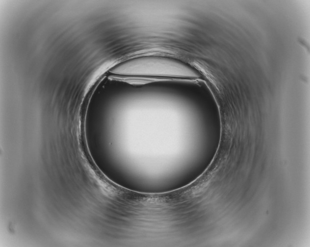 X0000095921418200802011203