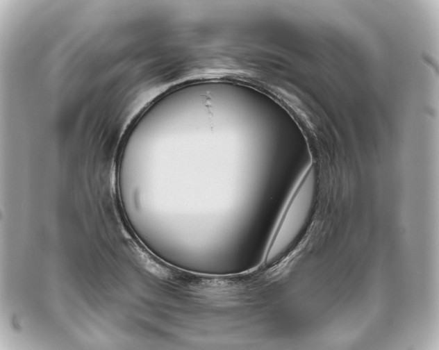 X0000095921420200802011203