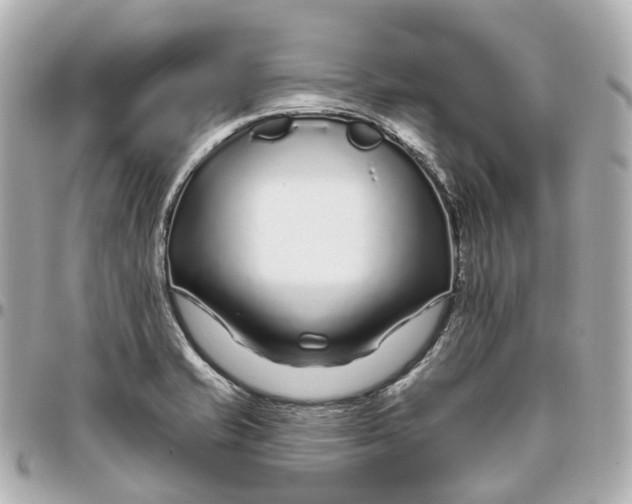 X0000095921421200802011203