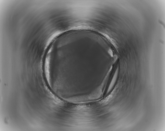 X0000095921422200802011203