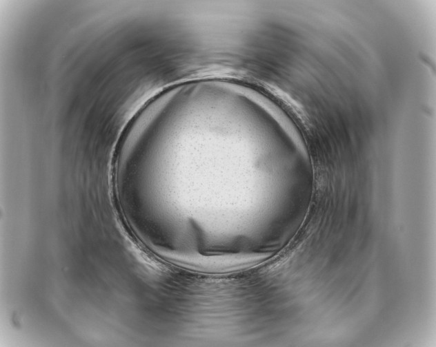 X0000095921423200802011203