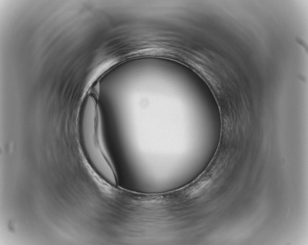 X0000095921426200802011203