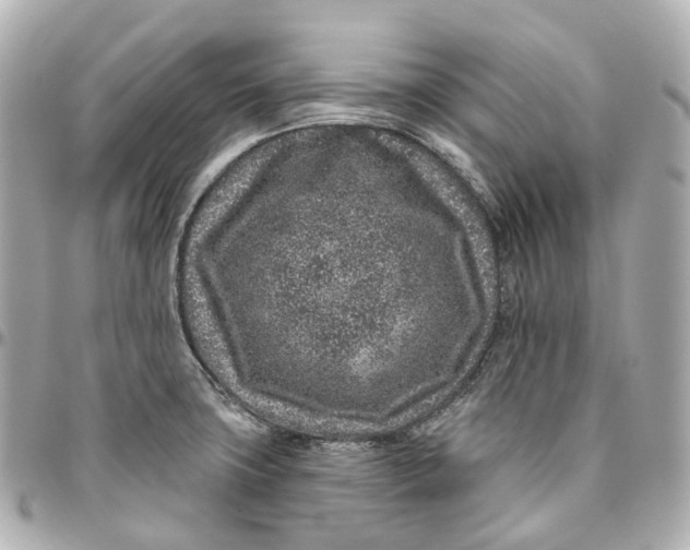 X0000095921427200802011203