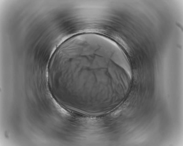 X0000095921428200802011203