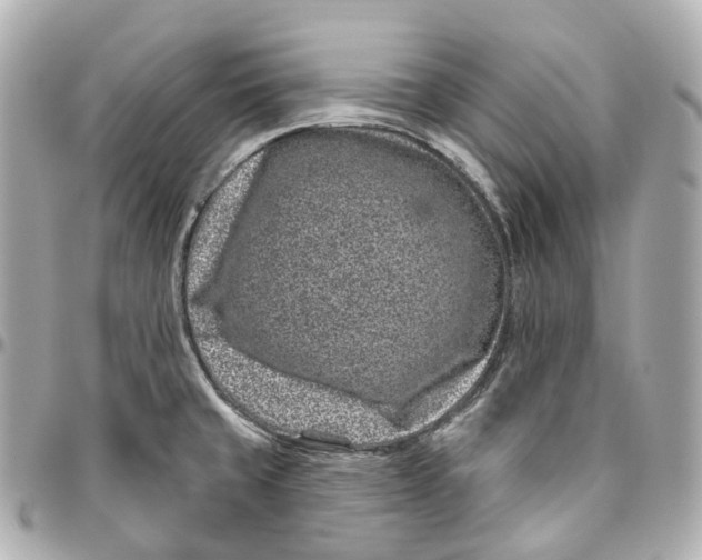 X0000095921429200802011203