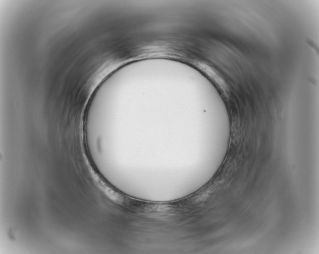 X0000095921431200802011203