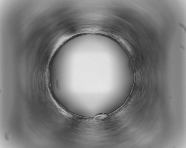 X0000095921432200802011203