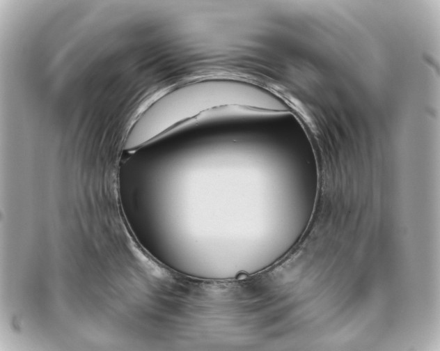 X0000095921433200802011203