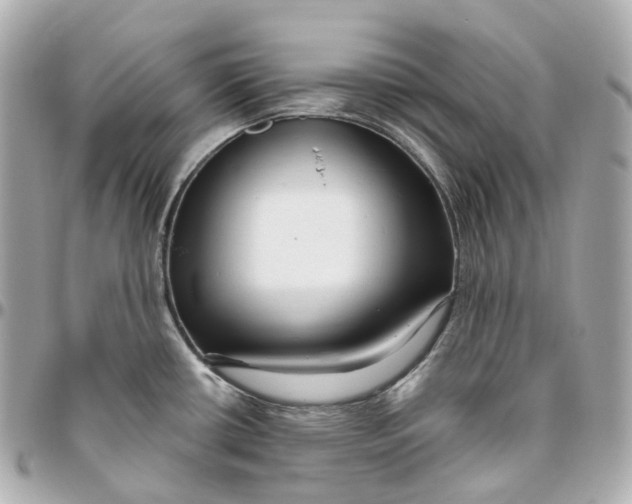 X0000095921434200802011203