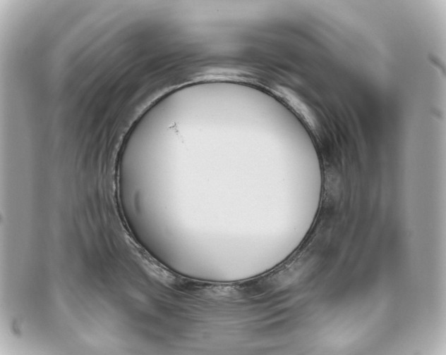 X0000095921435200802011203