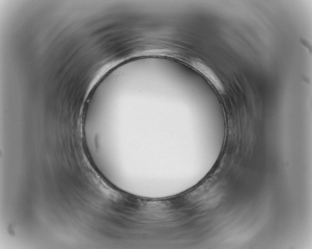 X0000095921436200802011203