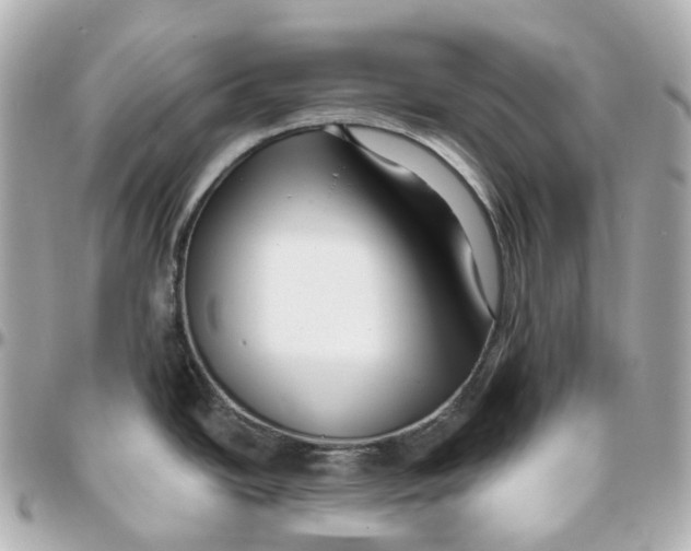 X0000095921438200802011203