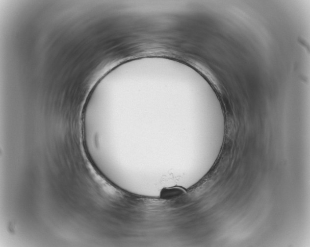 X0000095921439200802011203