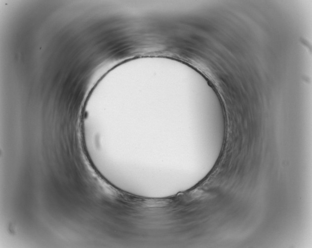 X0000095921440200802011203