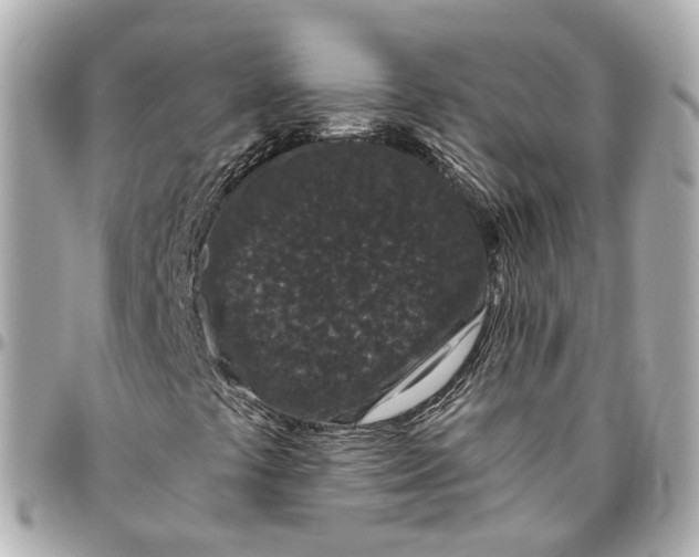 X0000095921441200802011202