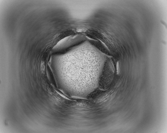 X0000095921443200802011202