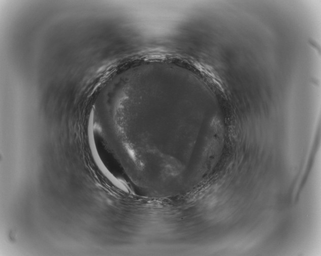 X0000095921445200802011202