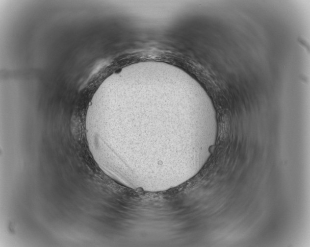 X0000095921446200802011202