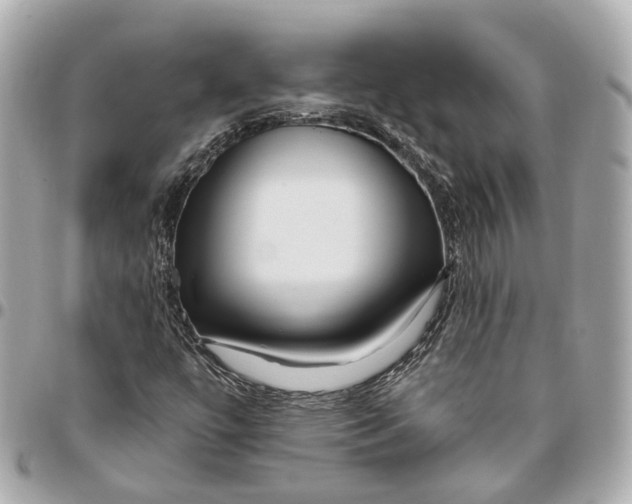 X0000095921447200802011202