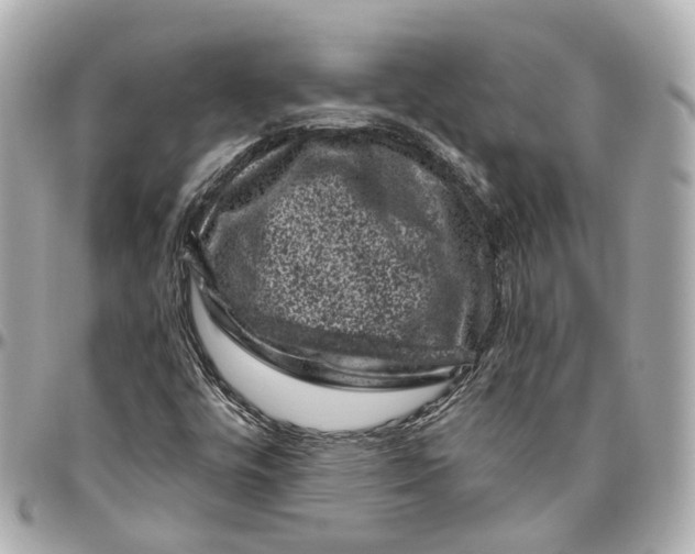 X0000095921448200802011202