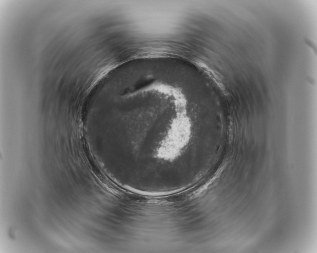 X0000095921449200802011202