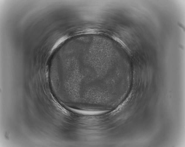 X0000095921450200802011202