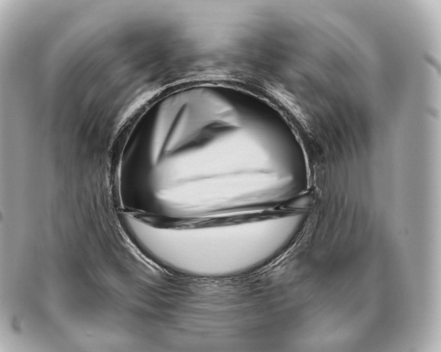 X0000095921452200802011202