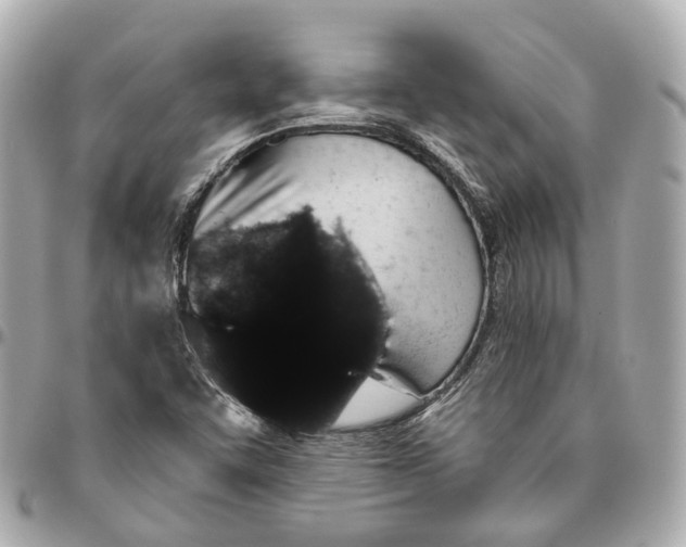 X0000095921455200802011202