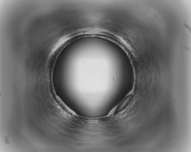 X0000095921456200802011202