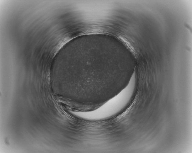 X0000095921457200802011202