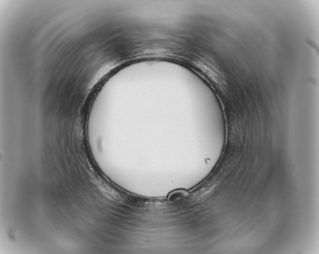 X0000095921458200802011202