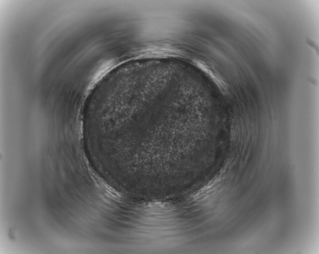 X0000095921459200802011202