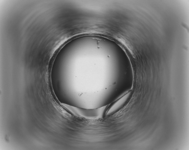 X0000095921460200802011202