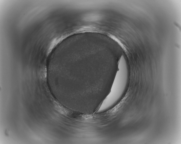 X0000095921461200802011202