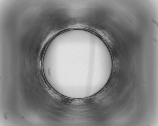 X0000095921462200802011202