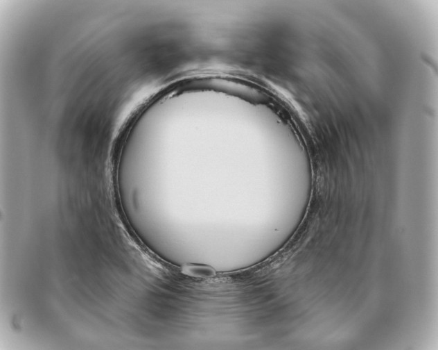 X0000095921464200802011202