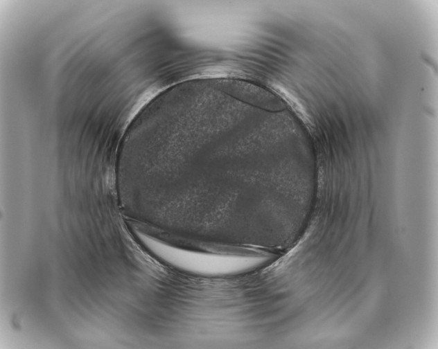 X0000095921465200802011202