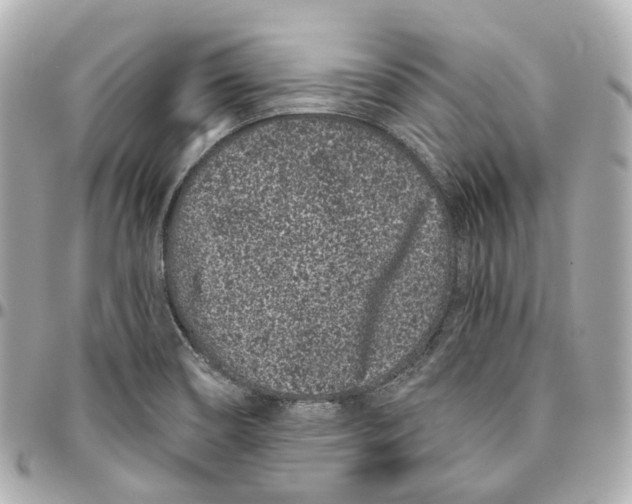 X0000095921466200802011202