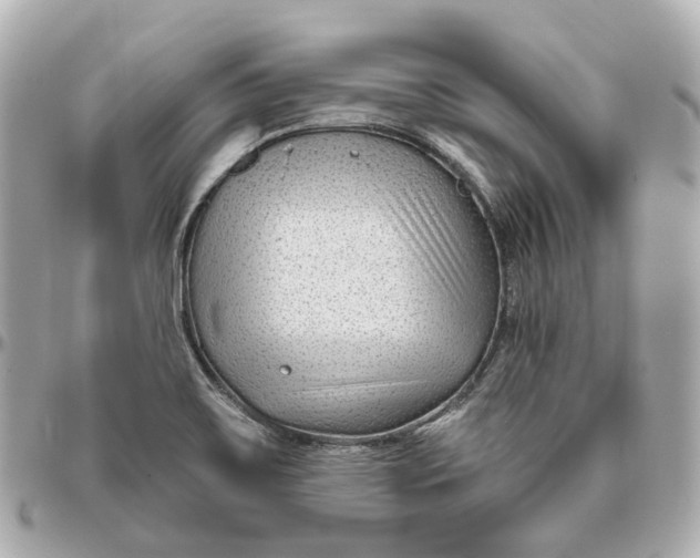 X0000095921467200802011202