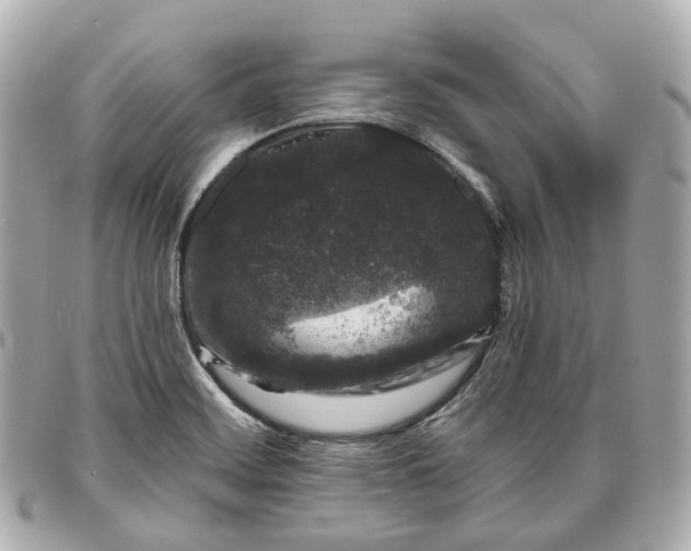 X0000095921468200802011202