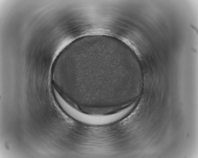 X0000095921469200802011202