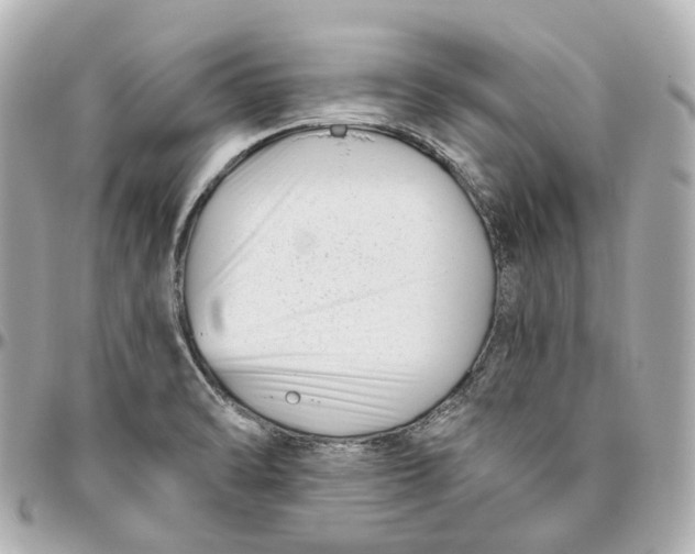 X0000095921470200802011202