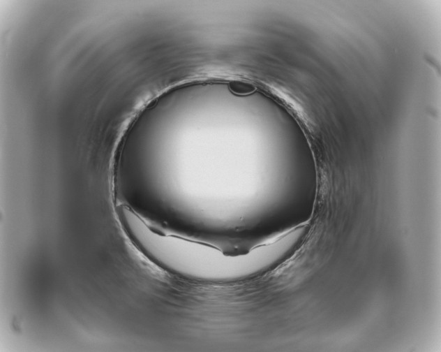 X0000095921471200802011202