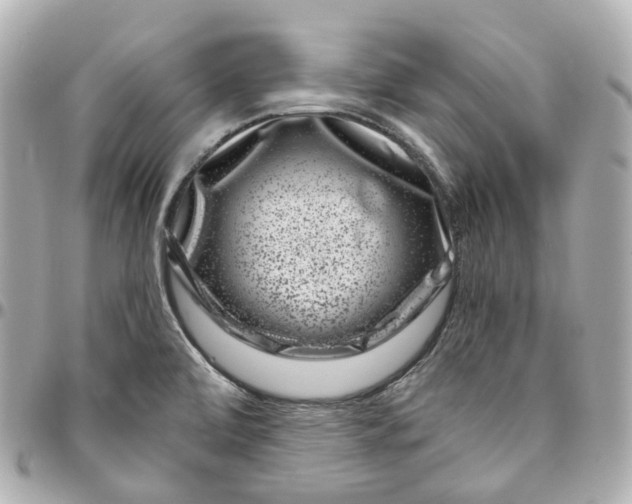 X0000095921472200802011202