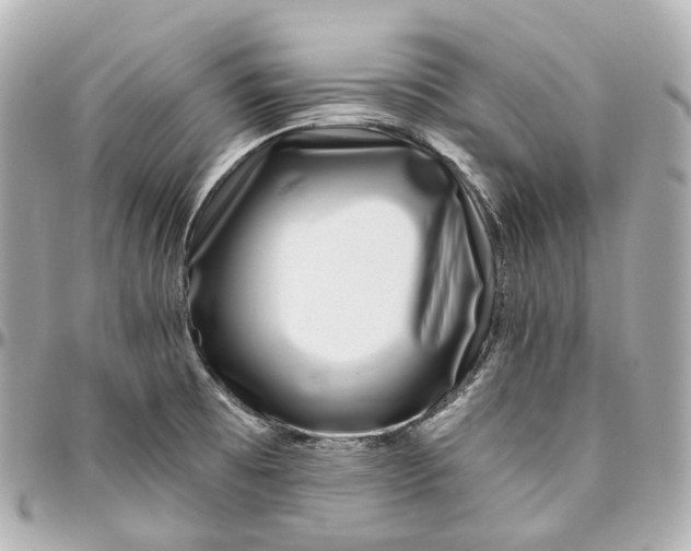 X0000095921473200802011202