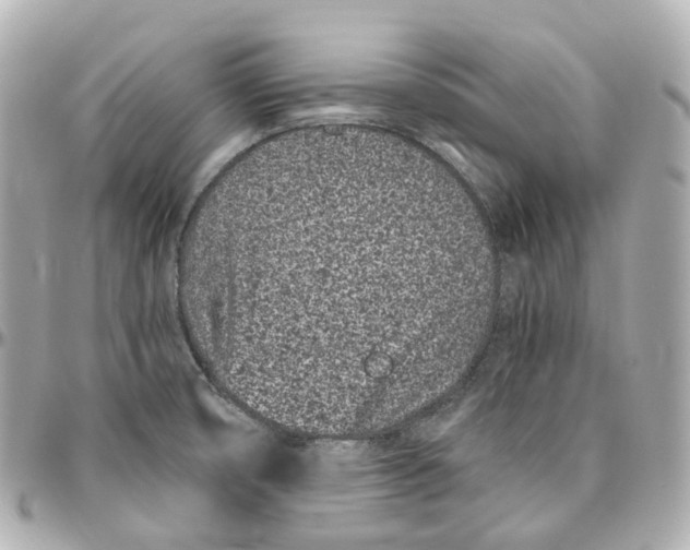 X0000095921474200802011202